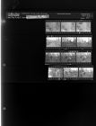 People in woods (12 Negatives) (March 19, 1964) [Sleeve 65, Folder c, Box 32]